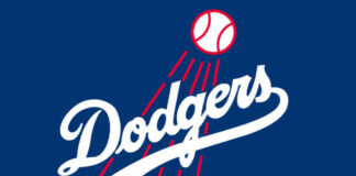 Dodgers Victory Parade in Chaos: Revelry Turns to Destruction in LA