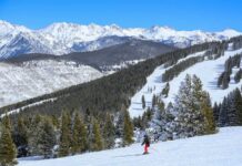 A skier navigating down a snowy slope with mountains in the background