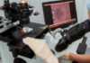 Scientist operating microscope with embryo on screen