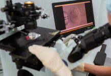 Scientist operating microscope with embryo on screen