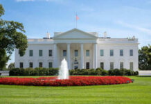 White House with fountain and flowers in front