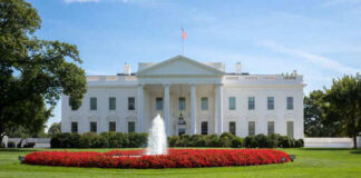 White House with fountain and flowers in front