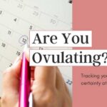 America’s Ovulation Economy: Stress Over Clarity Are You Ovulating Every Month