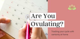 Are You Ovulating Every Month