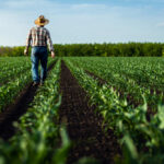 RURAL CHAOS: New Law Threatens Oregon’s Way of Life Farmer walking through green crop rows in a field