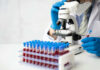 Scientist using a microscope with blood samples in tubes