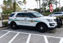 Sheriff SUV parked in a lot near palm trees