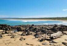 Rocky beach with calm waves and clear blue sky.