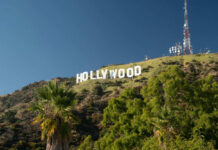Hollywood Murder Stuns LA Hollywood sign on a sunny hillside