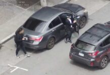 Pokémon Robbery Sparks Surveillance Uproar Suspects Tracked and Arrested One Day After Violent Pokémon Card Robbery
