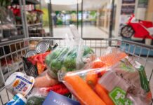 Blue States Subpoenaed Over SNAP Data A shopping cart filled with various groceries including vegetables and canned goods