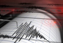 School Bells, Then CHAOS Close-up of a seismograph recording seismic waves