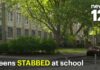 Student Slashes Staff—What’s Not Said 2 teens stabbed, another hurt in high school brawl at Bronx campus