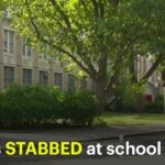 Student Slashes Staff—What’s Not Said 2 teens stabbed, another hurt in high school brawl at Bronx campus