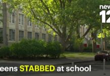 Student Slashes Staff—What’s Not Said 2 teens stabbed, another hurt in high school brawl at Bronx campus