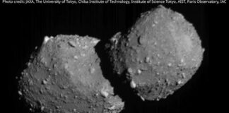Asteroid Torifune imaged by Hayabusa2