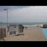 Shark activity in Scarborough Beach causes a close call for lifeguard