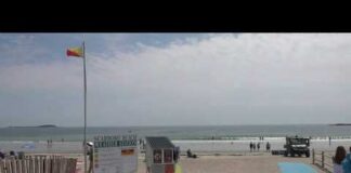 Shark activity in Scarborough Beach causes a close call for lifeguard