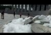 Vandal defaces WWII Memorial with graffiti, bubbles | NBC4 Washington
