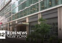 Suspect in custody after deadly stabbing at apartment in Long Island City, police sources say