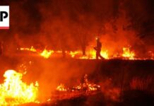 Human-caused climate change made Spain wildfires 20 times more likely, scientists say