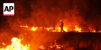 Human-caused climate change made Spain wildfires 20 times more likely, scientists say