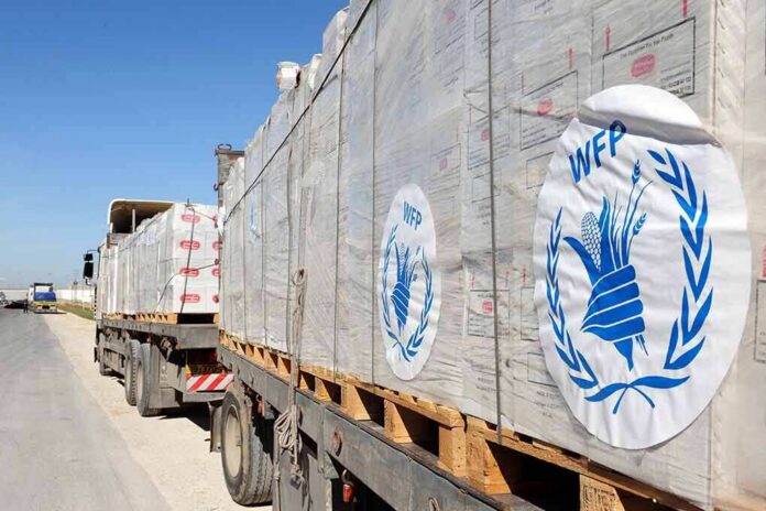 shutterstock_143248915-3 Humanitarian aid trucks loaded with palletized supplies