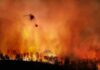 Helicopter fights massive wildfire over burning forest