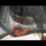 Why Helicopters Are Spraying Tampa Neighborhoods Hillsborough County increases aerial mosquito spraying as dengue cases rise