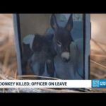 Pet donkey killed by police officer in Cedartown