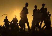 Immigration Panic Collides With Cold Numbers Silhouettes of people walking at sunset
