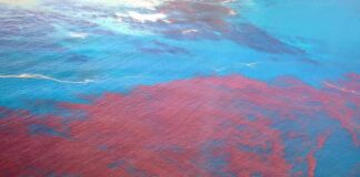 Aerial view of red bloom spreading across blue ocean water