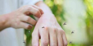 hand being bitten by mosquitoes outdoors