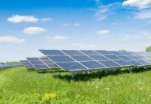 Solar Land Grab Sparks Rancher Showdown Solar panels in a field under a blue sky