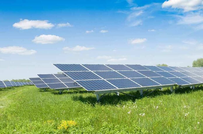 shutterstock_1909802176-2 Solar panels in a field under a blue sky