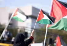 Person waving a Palestinian flag at a rally
