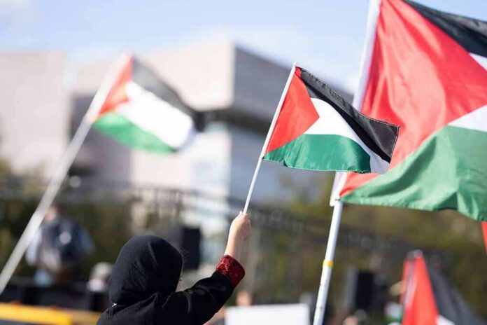 Person waving a Palestinian flag at a rally