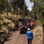 Deadly Hike Near Lebanon Border rescue team with ATVs on a forest trail