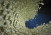Tornado of US dollar bills swirling into a vortex