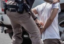 Grandparents, Murder Charges – The Missing Link police officer handcuffing a person beside a vehicle